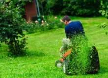 Kwikfynd Lawn Mowing
bungendore